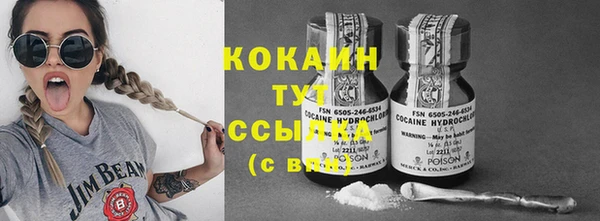 спайс Алзамай