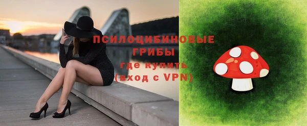 молекула духа Алексин