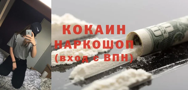 молекула духа Алексин