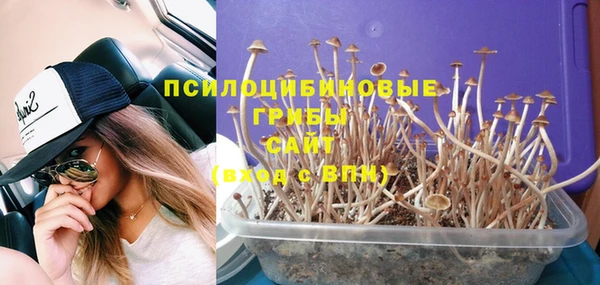 спайс Алзамай