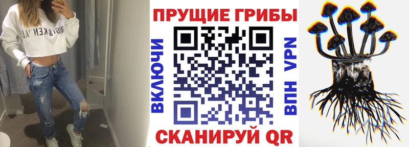 Галлюциногенные грибы прущие грибы  Комсомольск 